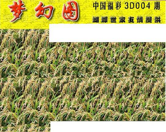 25004期: 3D蝴蝶世家蝴蝶彩图