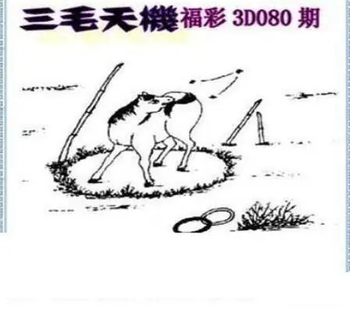 26080期: 三毛3D精品图谜