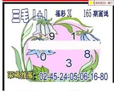 25165期: 三毛3D精品图谜