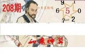 25208期: 白老3D杀码图版