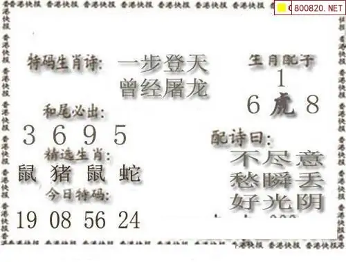 25161期: 白老3D杀码图版