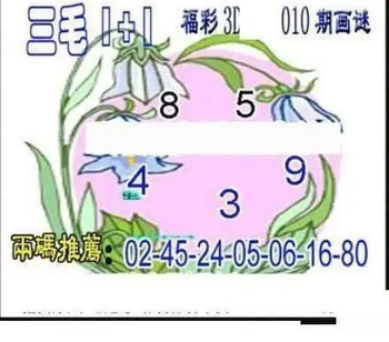 26010期: 三毛3D精品图谜