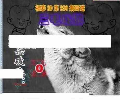 24250期: 三毛3D精品图谜