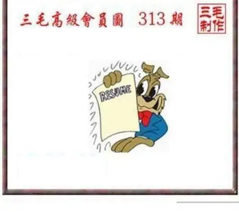 25313期: 三毛3D精品图谜