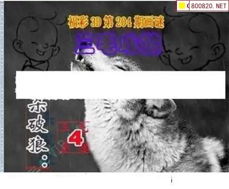 25204期: 三毛3D精品图谜