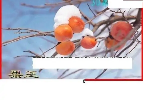 25135期: 白老3D杀码图版