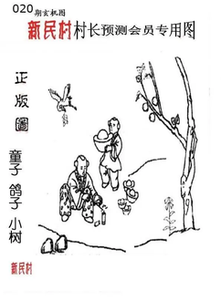 26020期: 老村长福彩3D天天图谜