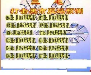 26077期: 三毛3D精品图谜