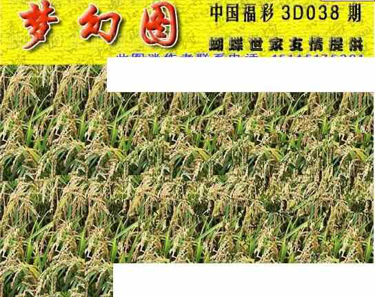 25038期: 3D蝴蝶世家蝴蝶彩图