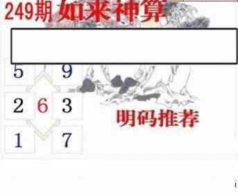 24249期: 白老3D杀码图版