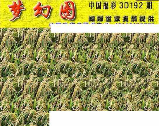 24192期: 3D蝴蝶世家蝴蝶彩图