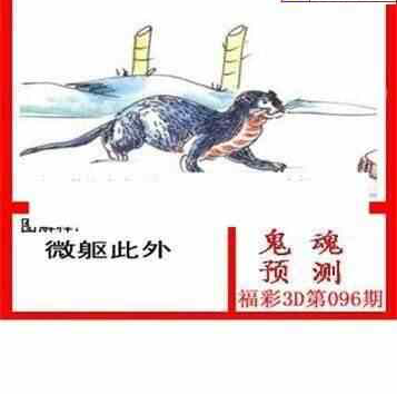 24096期: 白老3D杀码图版