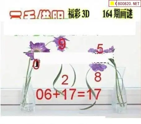 25164期: 三毛3D精品图谜