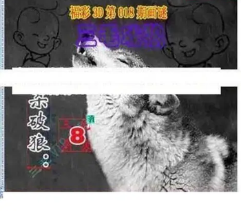 26018期: 三毛3D精品图谜