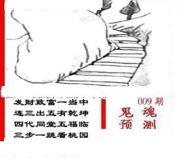 26009期: 三毛3D精品图谜