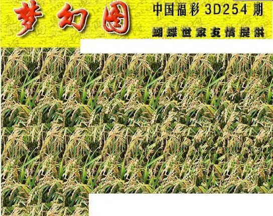 25254期: 3D蝴蝶世家蝴蝶彩图