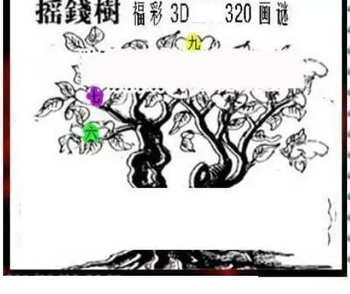 25320期: 三毛3D精品图谜