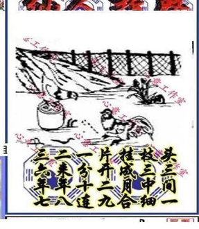 26014期: 三毛3D精品图谜