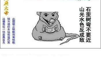 25331期: 白老3D杀码图版