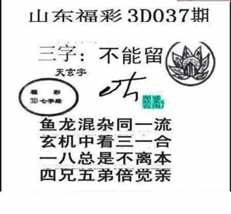 25037期: 三毛3D精品图谜