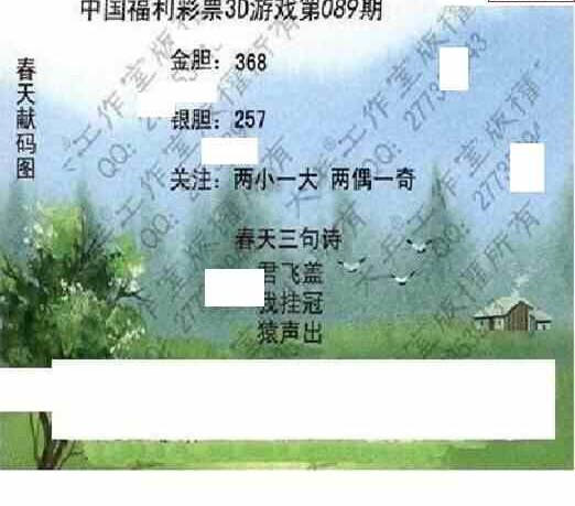 24089期: 大兵福彩3D黄金报图版