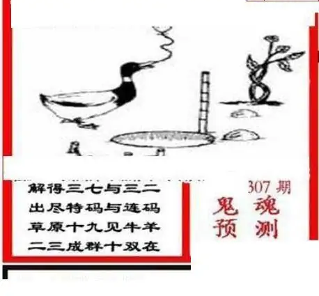 25307期: 三毛3D精品图谜