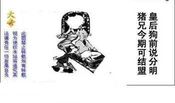 26108期: 白老3D杀码图版