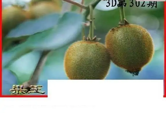 25302期: 白老3D杀码图版