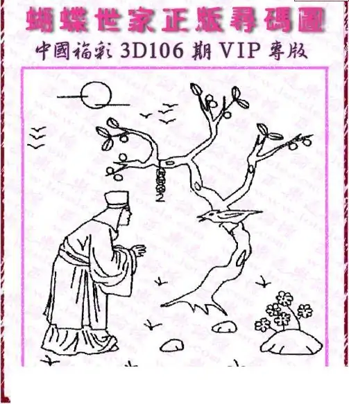 25106期: 3D蝴蝶世家蝴蝶彩图