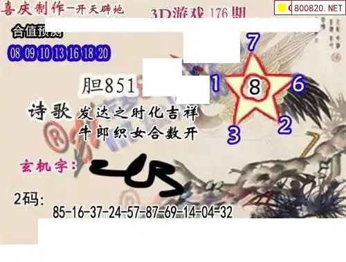 25176期: 白老3D杀码图版