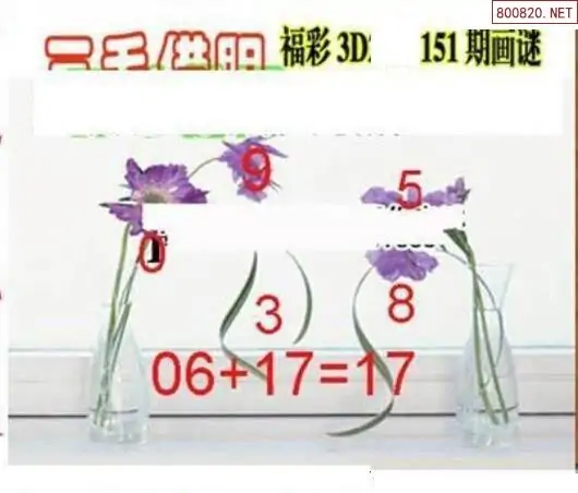 25151期: 三毛3D精品图谜