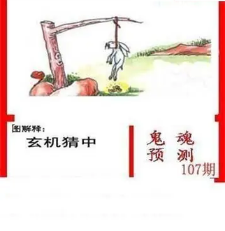 26107期: 白老3D杀码图版