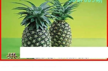 26083期: 白老3D杀码图版