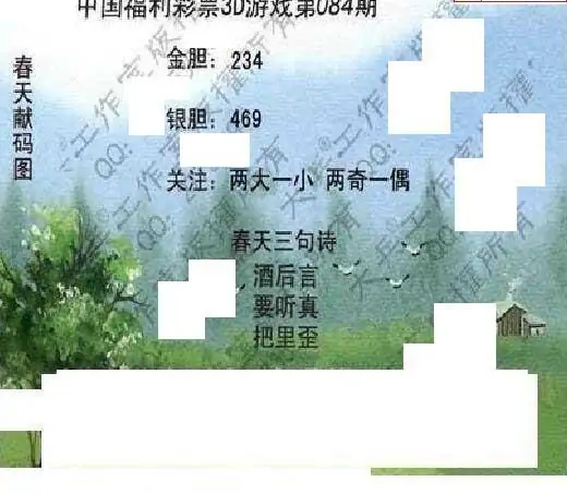 25084期: 大兵福彩3D黄金报图版