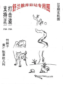 25329期: 老村长福彩3D天天图谜