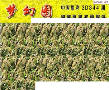 25344期: 3D蝴蝶世家蝴蝶彩图