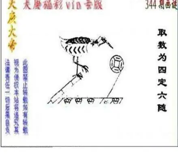 25344期: 三毛3D精品图谜