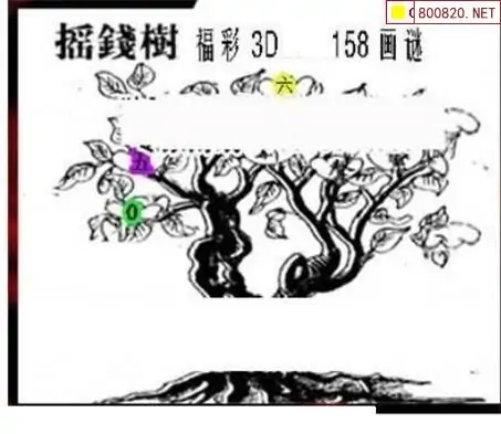 25158期: 三毛3D精品图谜