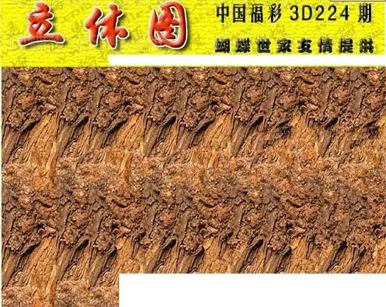 25224期: 3D蝴蝶世家蝴蝶彩图