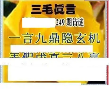 25249期: 三毛3D精品图谜