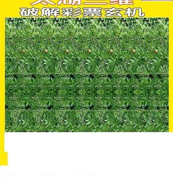 25079期: 太湖图福彩3D精品预测