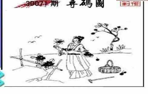 24071期: 三毛3D精品图谜