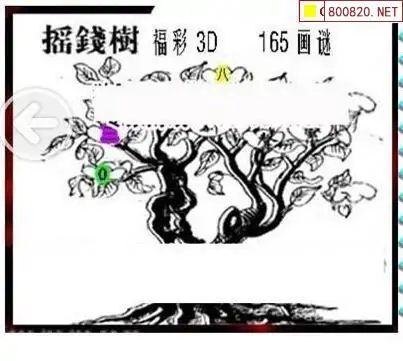 25165期: 三毛3D精品图谜