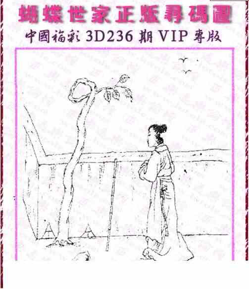 24236期: 3D蝴蝶世家蝴蝶彩图