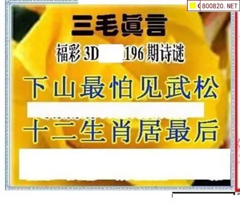 25196期: 三毛3D精品图谜