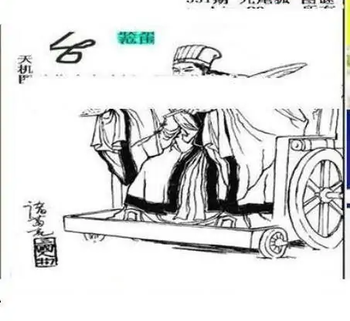 25331期: 三毛3D精品图谜