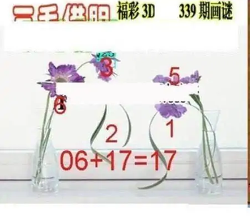25339期: 三毛3D精品图谜
