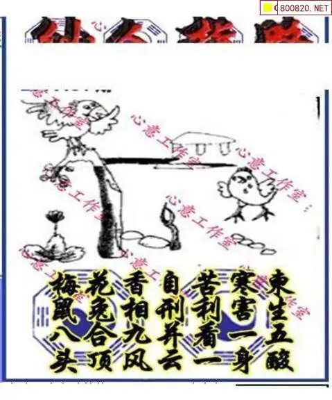 25191期: 三毛3D精品图谜