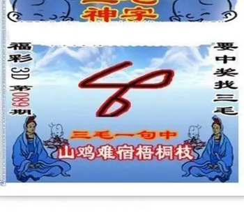 26089期: 三毛3D精品图谜