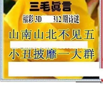 25312期: 三毛3D精品图谜